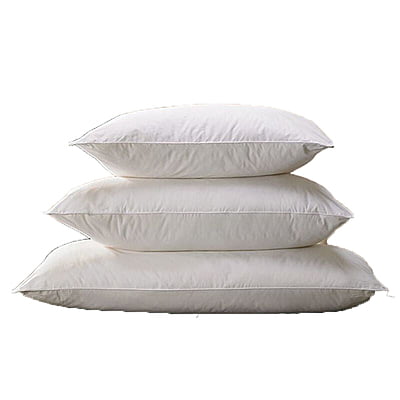 Pillow Platinum Standard 20" x 26" 26 oz. 12/Case